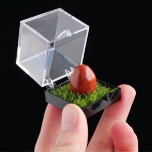 import placeholder for shopify 15817080439165